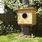 9 astuces futées pour protéger les nids d’oiseaux du jardin des chats de passage